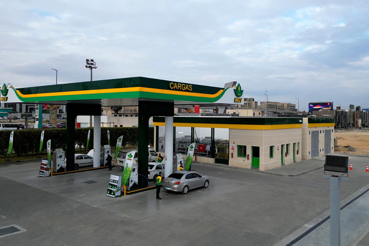 نشاط 3